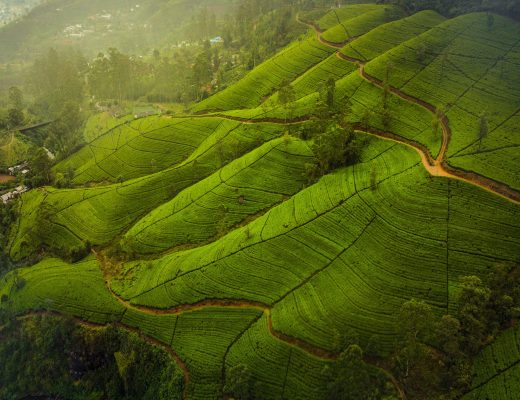 Sri Lanka de-o poveste!
